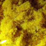Buy 5-Br-DMT Online