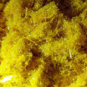 Buy 5-Br-DMT Online